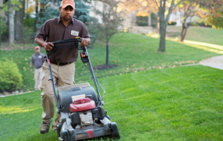 By The Blade - Lawnscape - Mowing