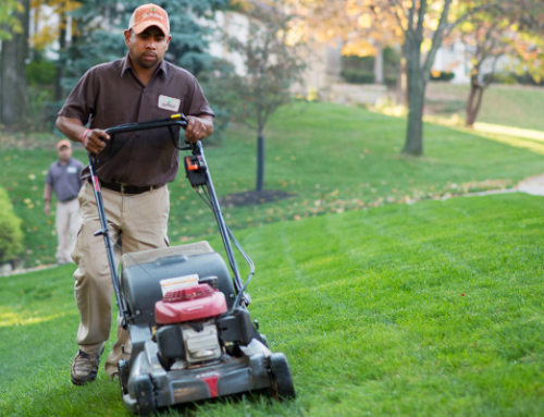 Lawn Maintenace Company in Lenexa: When Should You Fertilize Your Lawn in Kansas?
