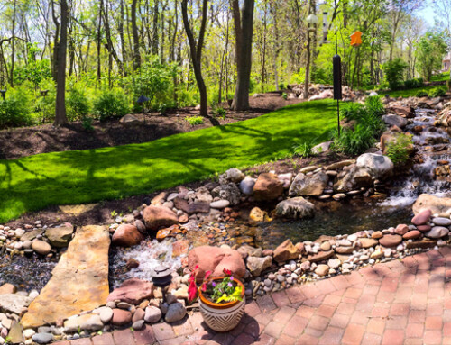 Lenexa Landscape Maintenance Company: Do I Really Need a Seasonal Yard Cleanup? 