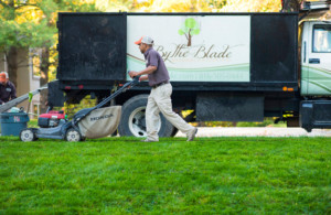 lawn care kansas city