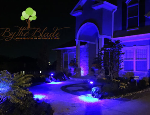 Lenexa Landscape Maintenance Company: Is Landscape Lighting Worth It? Here’s What We Tell Homeowners