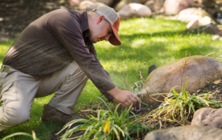 Sustainable Landscaping in Kansas City