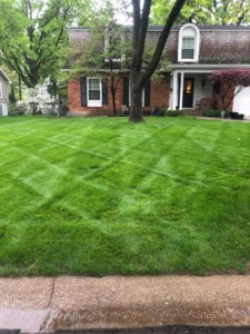 kc lawn and landscaping