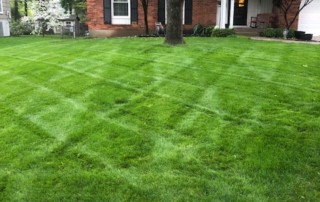 kc lawn and landscaping