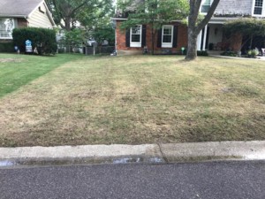 kc lawn and landscaping