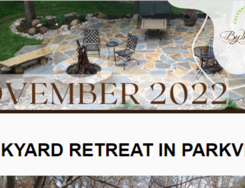 Backyard Retreat in Parkville | November 2022