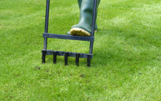 Lawn Care Company in Parkville