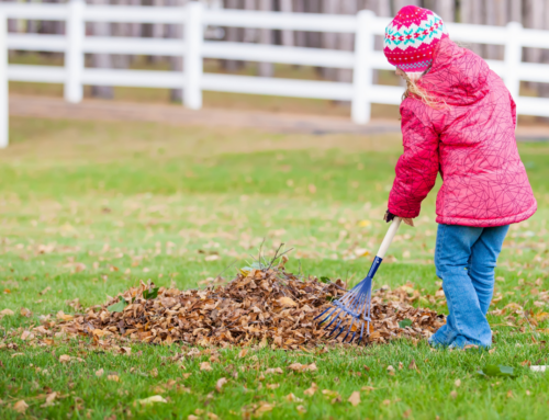 What Projects Can You Do in the Winter? Tips from a Leading Parkville Landscaping Company