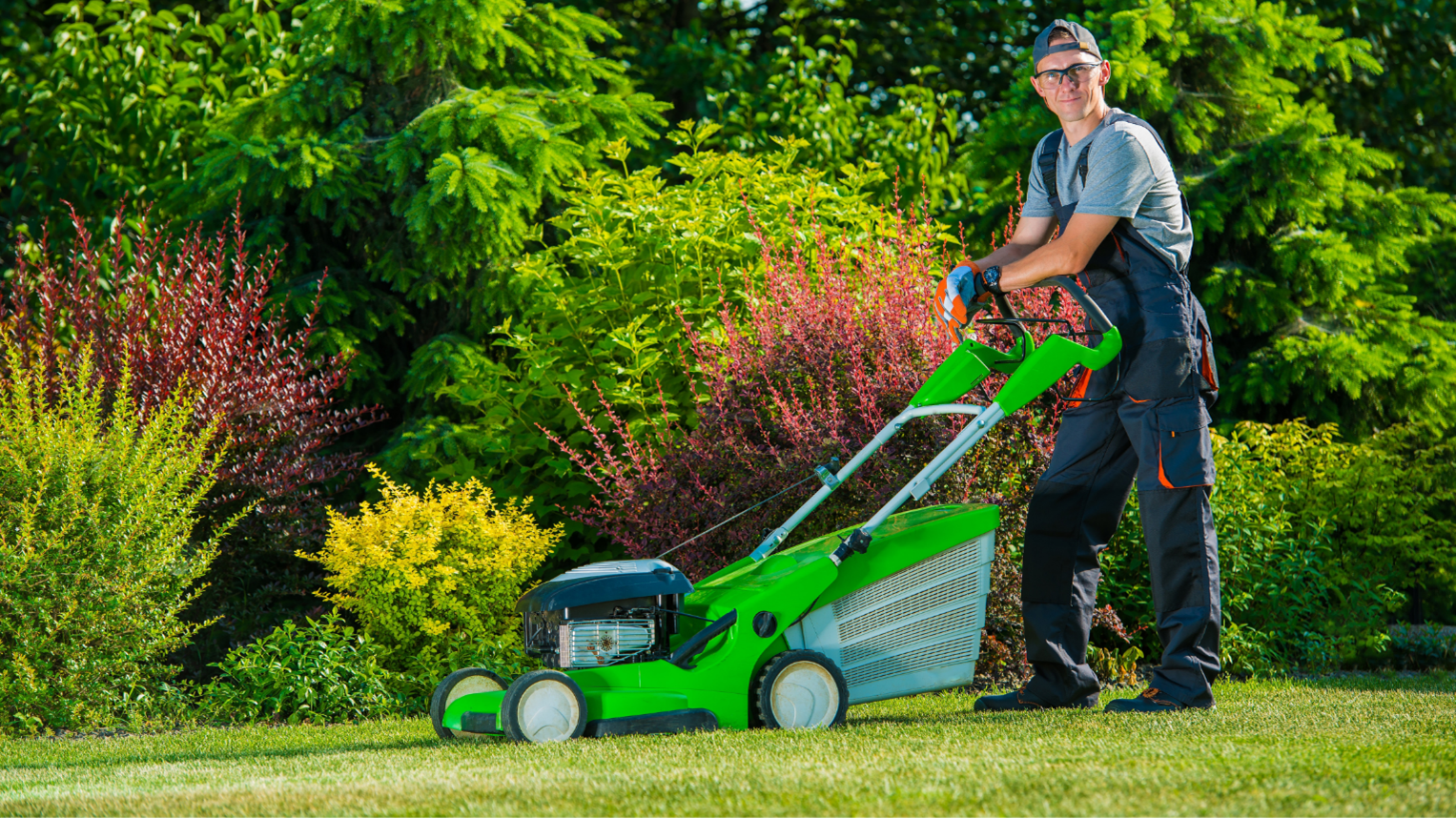 Lawn Care Company in Parkville
