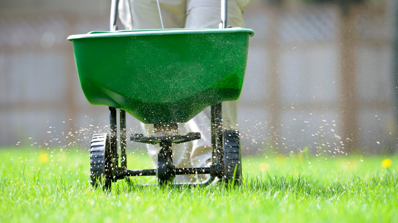 Lawn Services in Parkville 