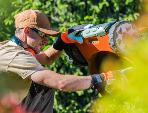 Getting Your Mower Ready for Spring, 10 Tips from One of the Top Lawn Care Services in Parkville