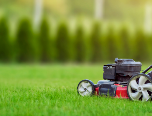 The Differences Between a Lawn Care Company in Lenexa and a Landscaping Company in Lenexa