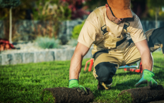 Lawn Aeration Company in Leawood