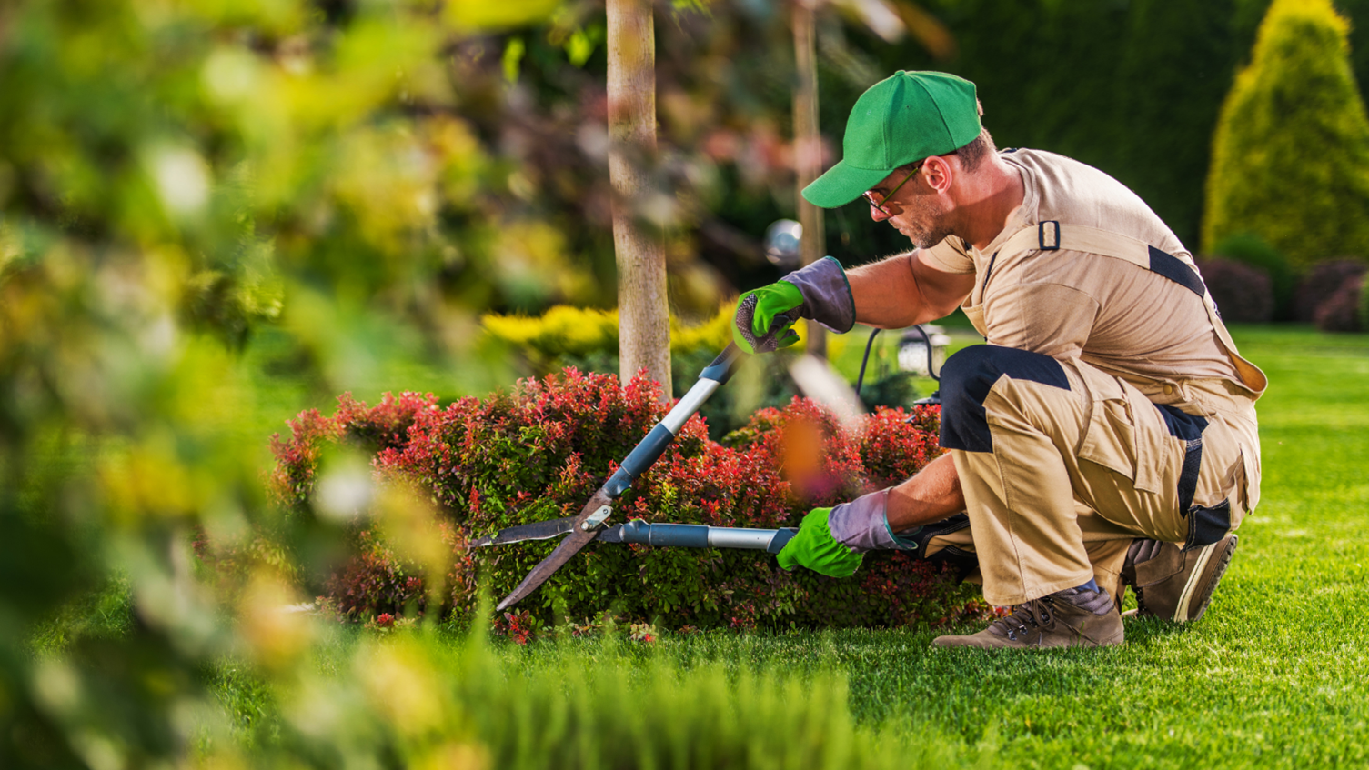 Landscaping Services in Parkville