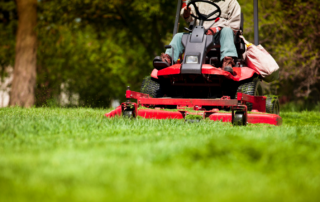 Lenexa Lawn Care Services