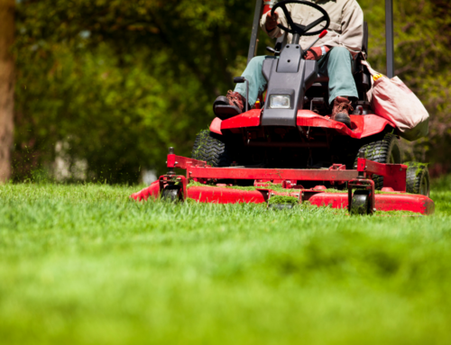 Make Your Lawn Look Like The #1 Parkville Lawn Care Company Has Been Taking Care of It
