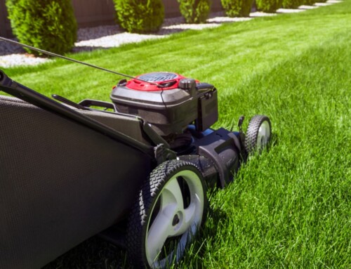 A Local Lawn Care Business in Leawood That Gets It Right—Every Time