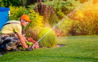 Lawn Services in Lenexa