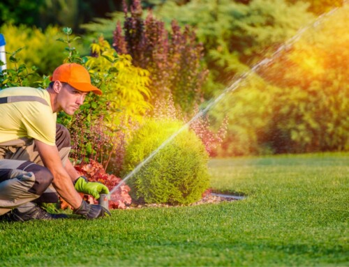 Lawn Services in Lenexa: Offers 8 Amazing Tips on Sprinkler Care