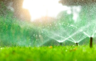 Lawn Care Company in Parkville