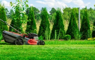 Lenexa Lawn Care Services