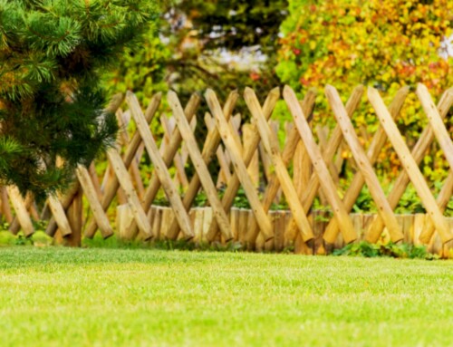 Premier Lawn Services in Lenexa: 19 Amazing Fall Preparation Tips