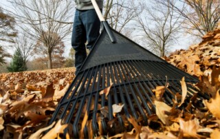 Landscaping Company in Lenexa
