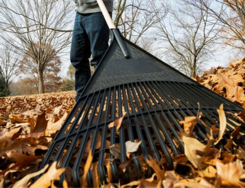 Mastering Leaf Removal 7 Effective Tips from a Top Landscaping Company in Lenexa