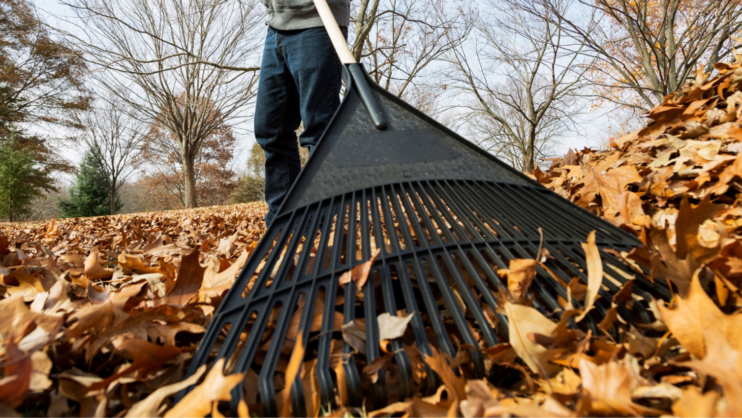 Optional Methods for Leaf Disposal