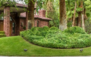 Lawn Care Services in Lenexa