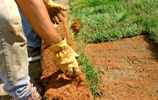 Landscaping Company in Parkville