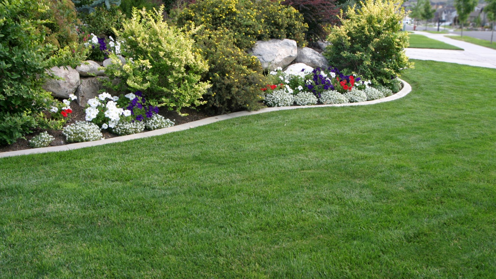 Landscaping Company in Parkville