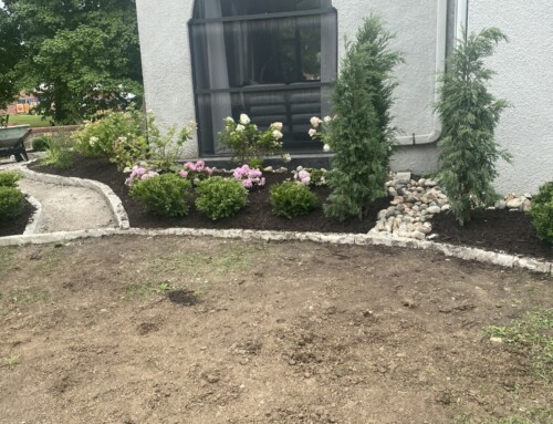 Landscape Designers in Lenexa: It’s Not Just Plants and Mulch