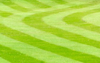 Lawn Care Services in Parkville