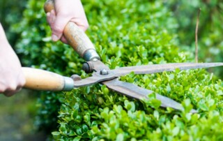 Parkville Landscaping Designer