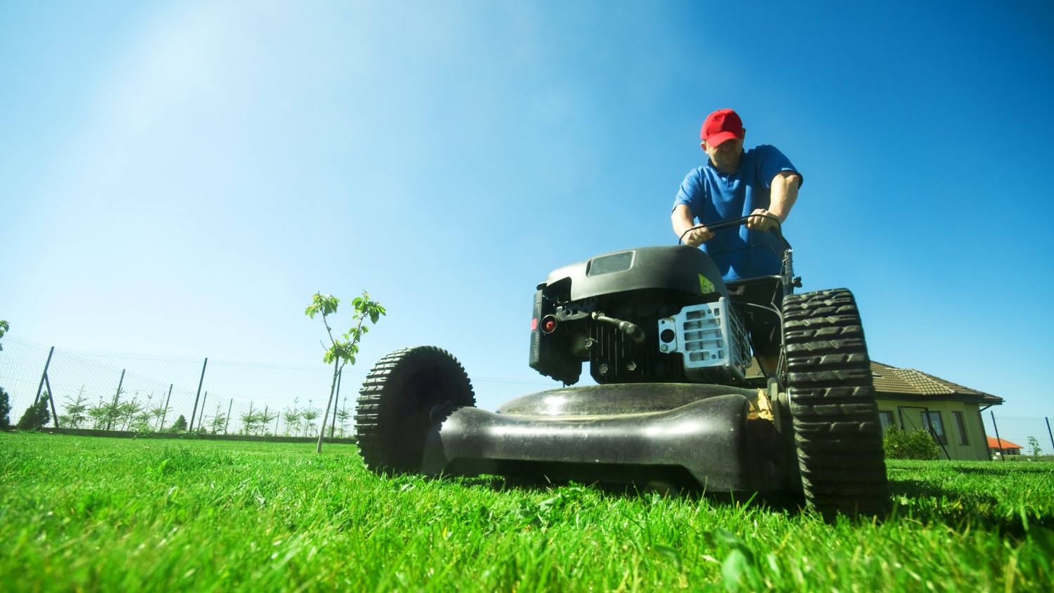 Lawn Care Services in Parkville