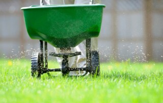 Lawn Care Services in Parkville