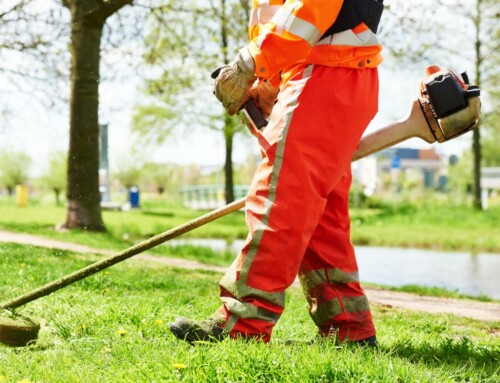 14 Qualities You Should Look for in a Professional Lenexa Lawn Care Company