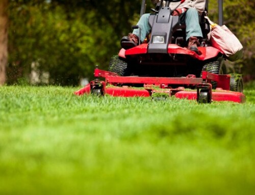 What the Leawood Yard Mowing Company You Choose Says a Lot About Your Lawn’s Future