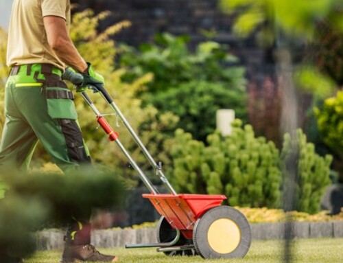 From Dirt to Dynasty: The Lawn Fertilization Company in Parkville That Turns Lawns into Landscapes