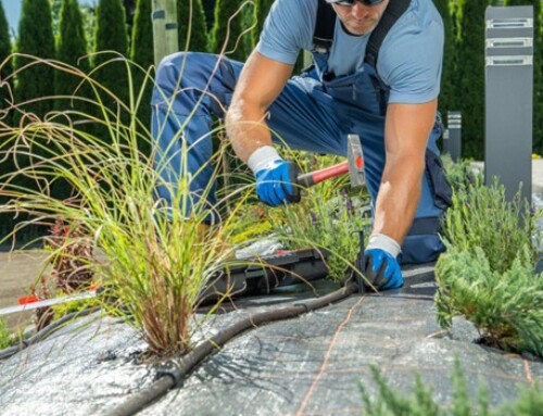The Future of Landscape Maintenance in Leawood Is Here