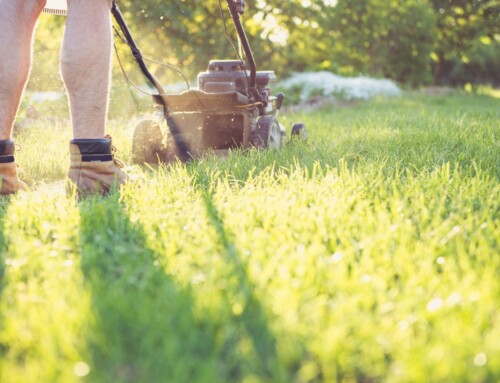 Why Leawood Yard Mowing Services Might Be the Smartest Upgrade You Make This Year