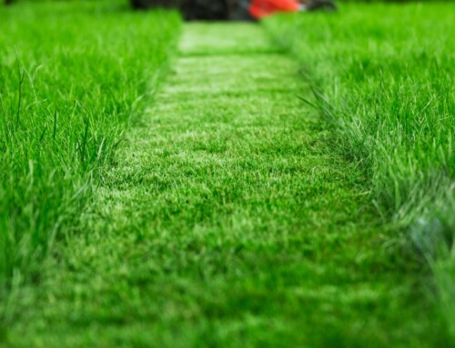 Why a Local Leawood Yard Mowing Company Makes All the Difference