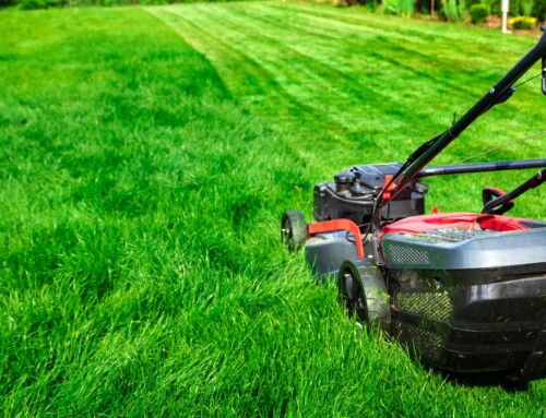 Reliable Leawood Yard Mowing Services That Homeowners Trust