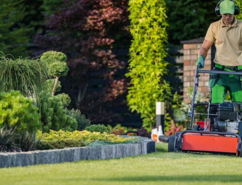 Premium Lawn Services in Leawood That Make a Lasting Impression