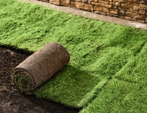 Choose a Leawood Landscaping Company That Delivers Lasting Results