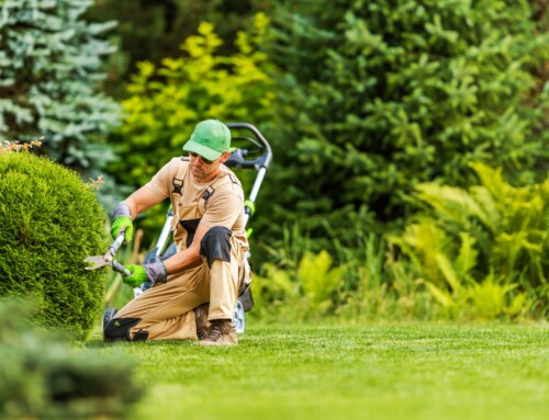Work with a Trusted Leawood Landscaping Designer to Transform Your Outdoor Space