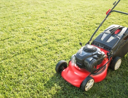 Lawn Services in Lenexa That Keep Yards Looking Their Best