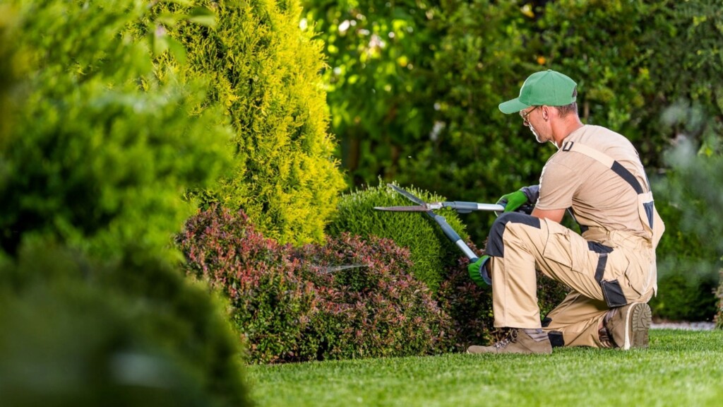 Landscape Maintenance in Leawood
