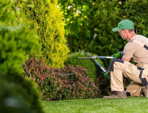 Landscape Maintenance in Leawood That Keeps Yards Looking Sharp